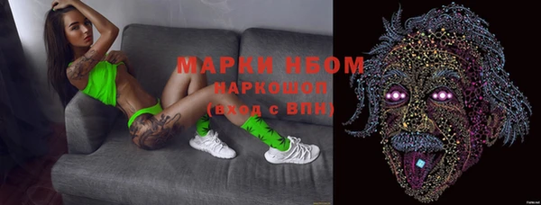 PSILOCYBIN Бородино
