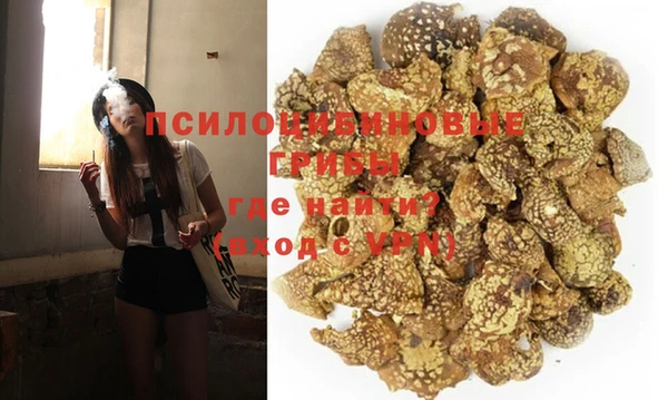 дурь Бронницы