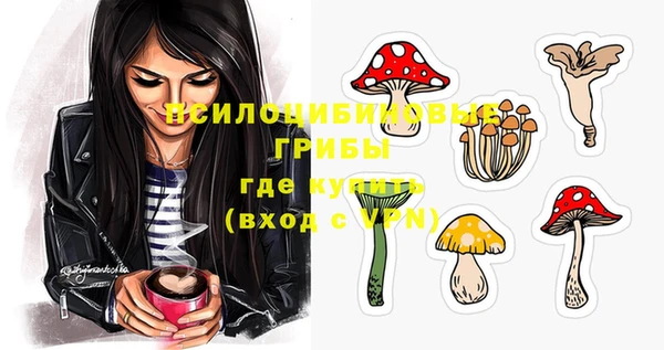 дурь Бронницы