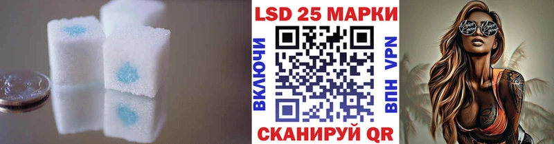 где можно купить наркотик  Гусев  Лсд 25 экстази ecstasy 
