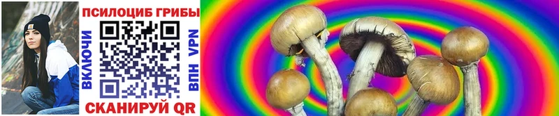 OMG ссылка Гусев Галлюциногенные грибы Cubensis